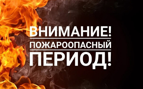 Об установлении начала пожароопасного сезона на территории Новосибирской области в 2025 году
