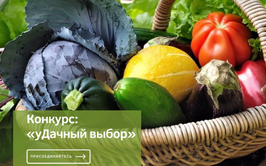 Конкурс лучших овощных культур «уДачный выбор»