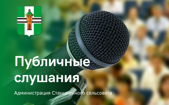 23.04.2025 г. в 12.00 публичные слушания об утверждении отчета «Об исполнении бюджета Станционного сельсовета Новосибирского района Новосибирской области за 2024 г.»
